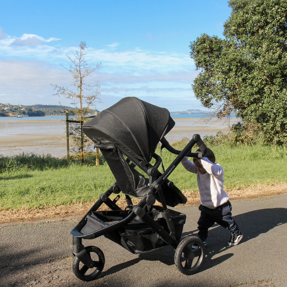 Person pushing a black stroller along a path with a scenic background