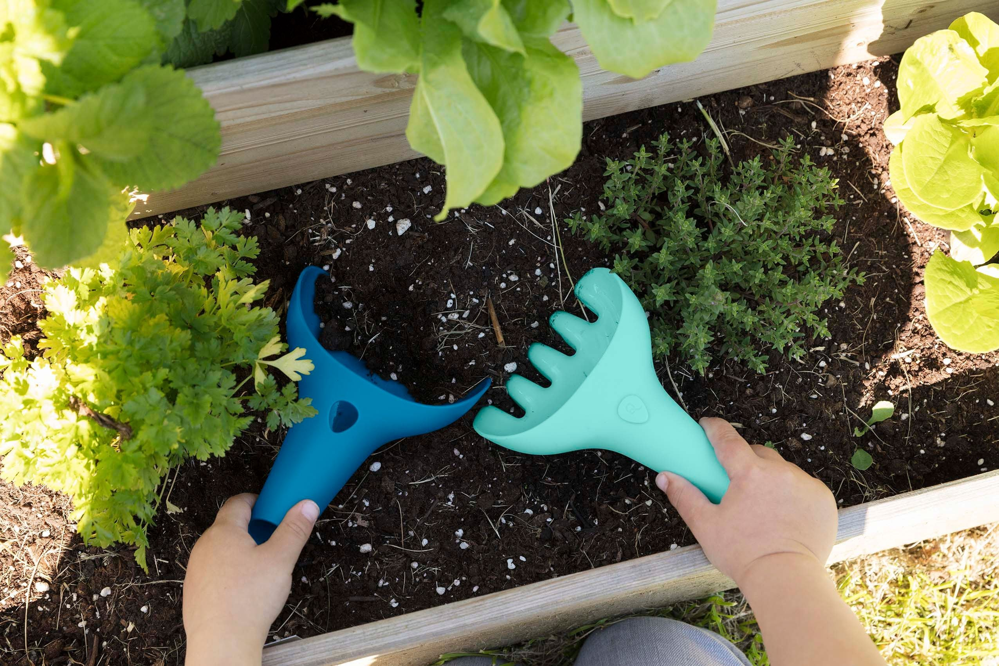 Outdoor Play