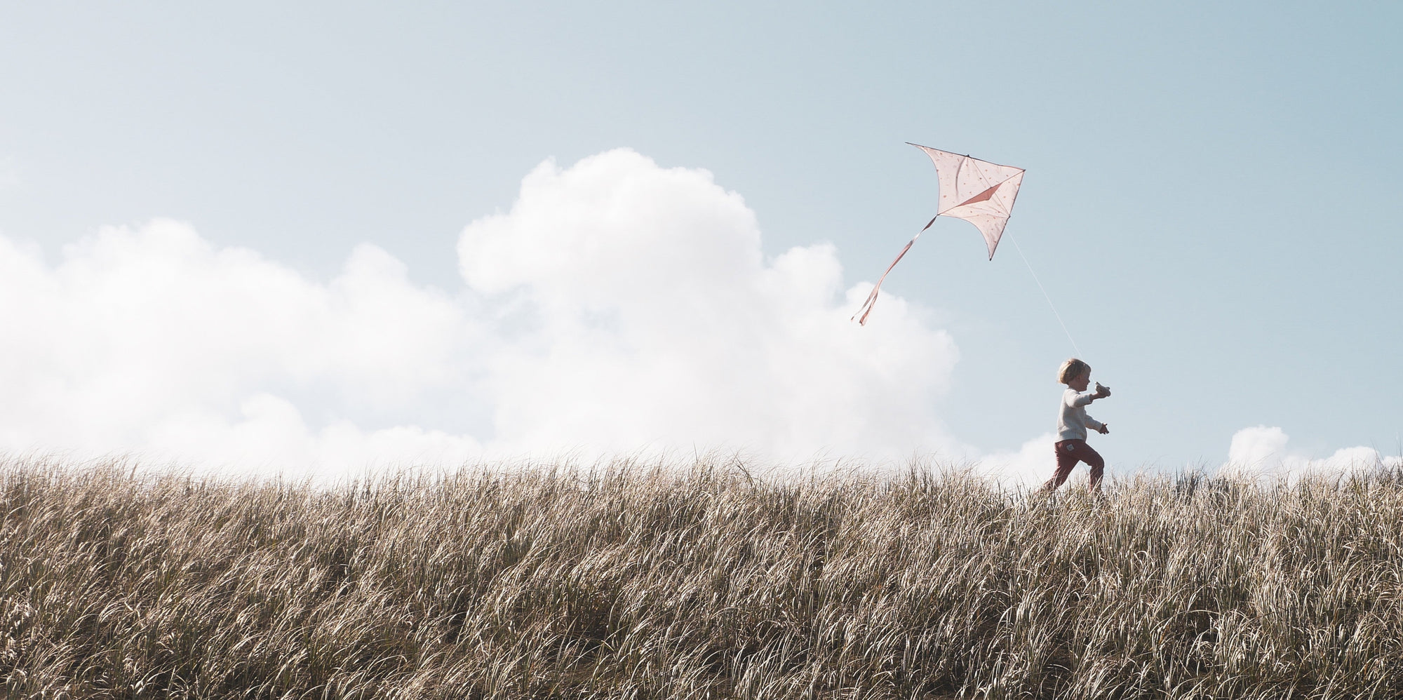 Lofty Kites