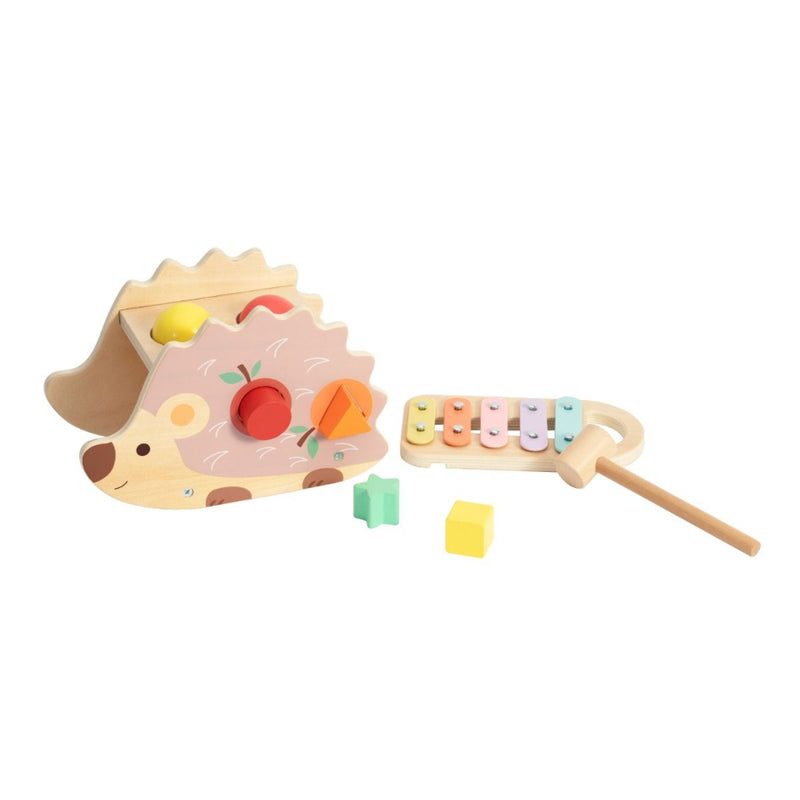 Wooden hedgehog puzzle and xylophone toy set on a white background