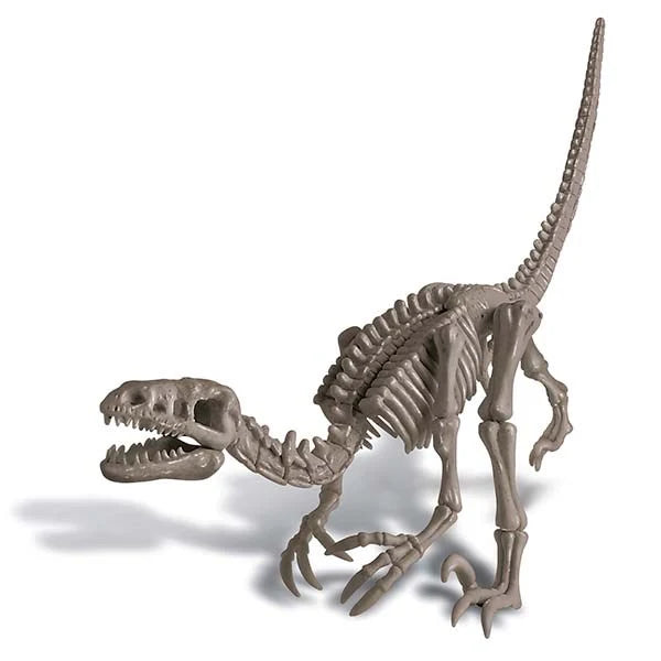 4M - Dig A Dinosaur | Velociraptor