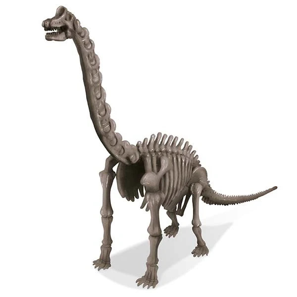 4M - Dig A Dinosaur | Brachiosaurus