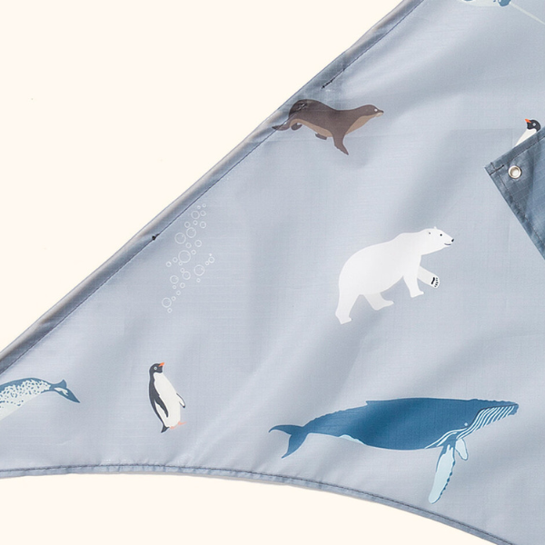 Lofty Kites | Artic