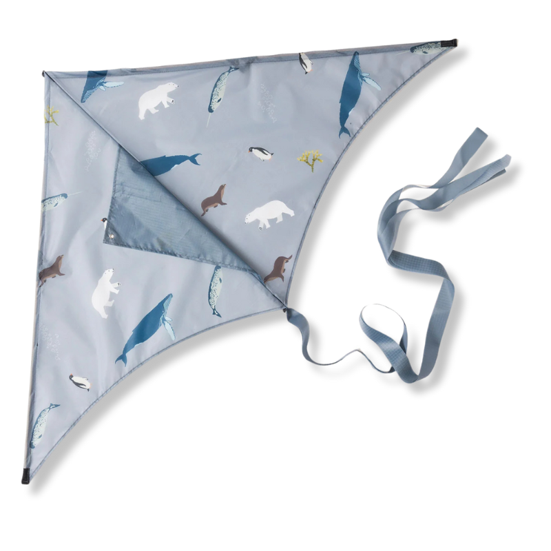Lofty Kites | Artic
