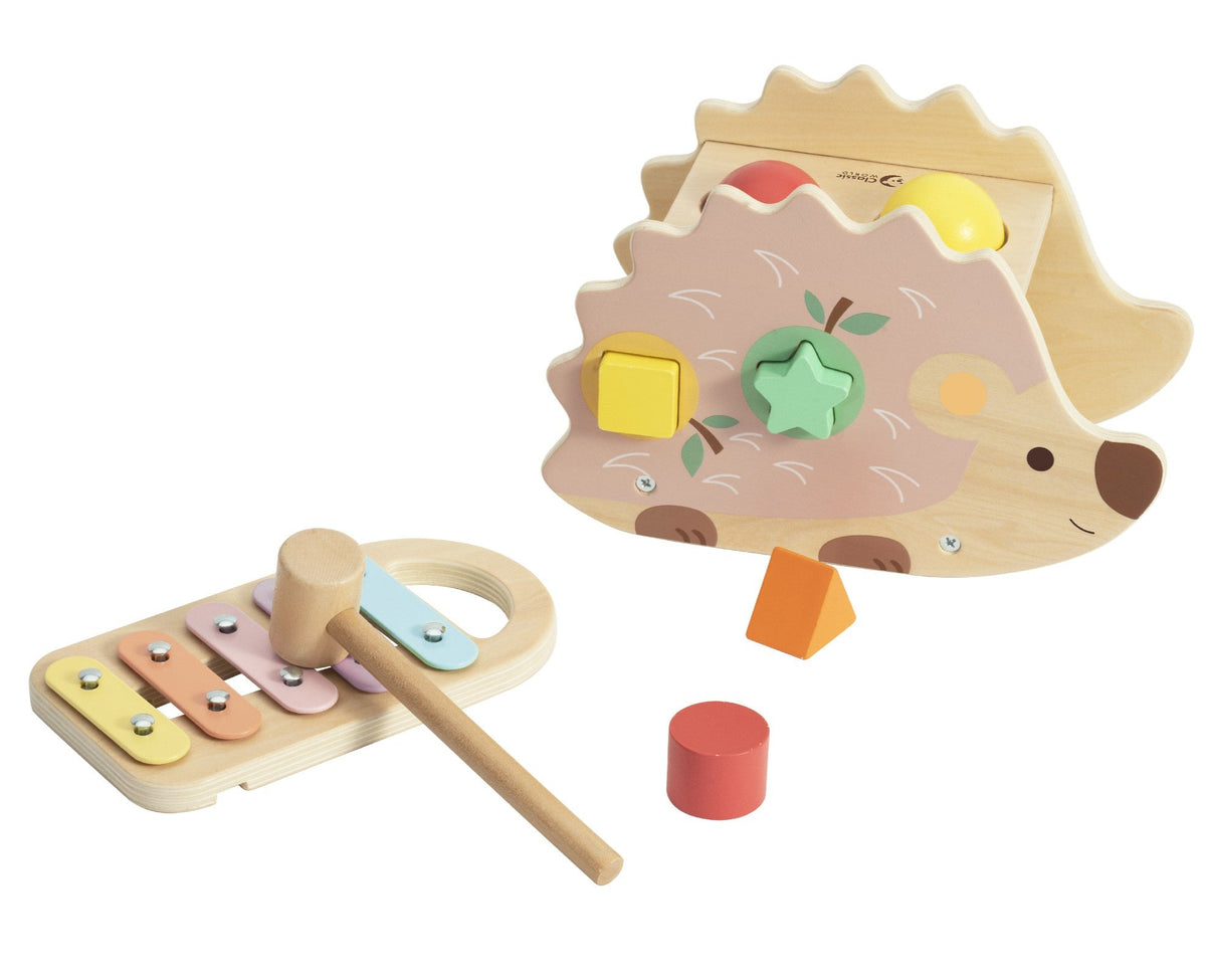 Wooden hedgehog shape sorter and xylophone on a white background