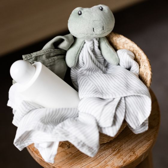 Little Bamboo - Comforter | Freddie Frog