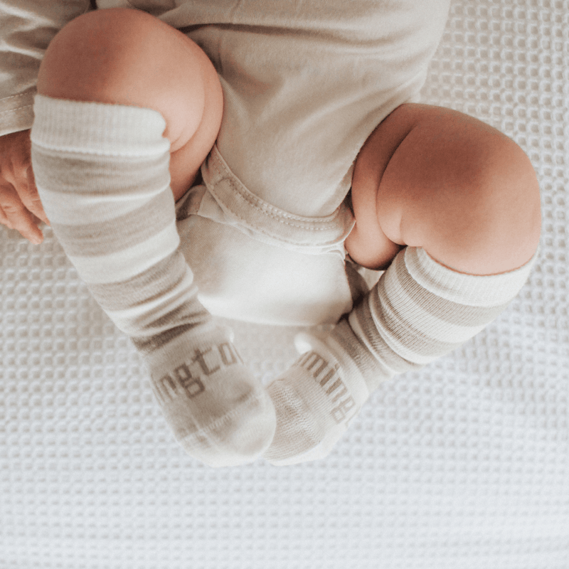 Lamington Baby Socks - Knee High | Dandelion