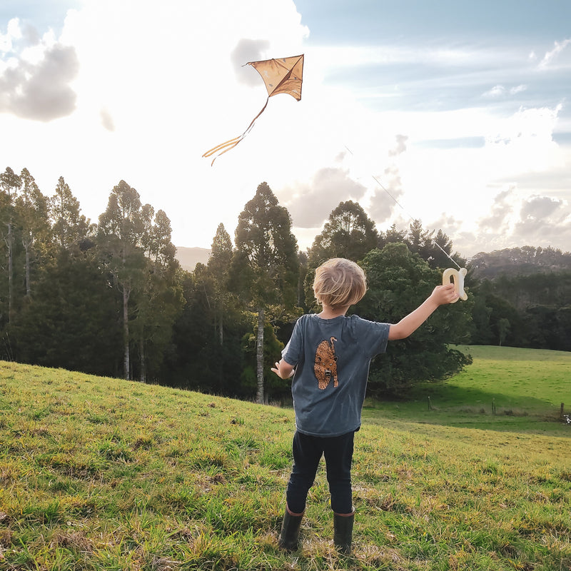 Lofty Kites - Happy Days